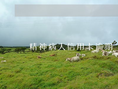 精神病人信用卡逾期 精神病人信用卡逾期