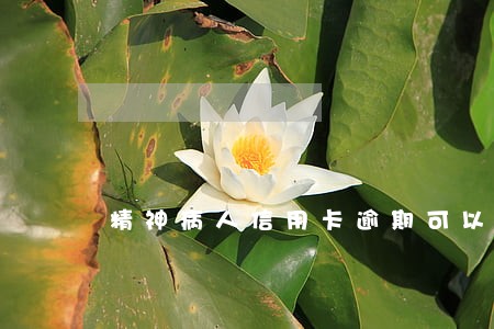 精神病人信用卡逾期可以协商 精神病人信用卡逾期可以协商