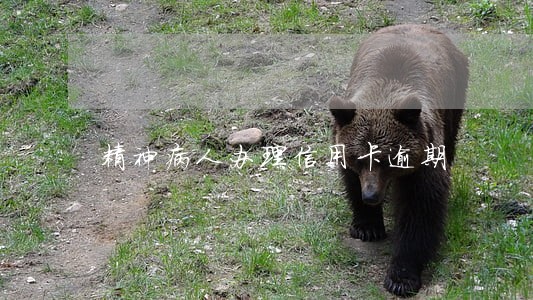 精神病人办理信用卡逾期 精神病人办理信用卡逾期