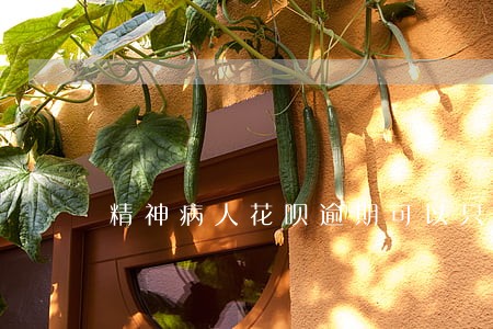 精神病人花呗逾期可以只还本金吗 精神病人花呗逾期可以只还本金吗