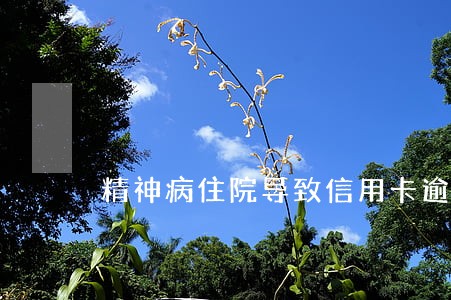 精神病住院导致信用卡逾期 精神病住院导致信用卡逾期