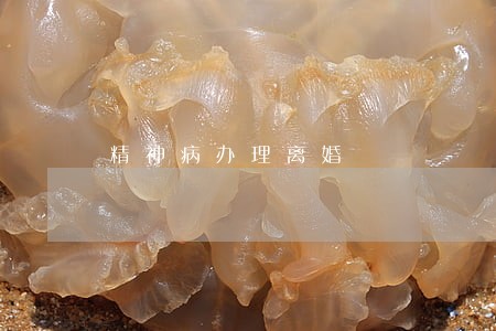 精神病办理离婚 精神病办理离婚
