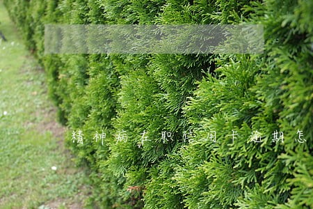 精神病在职信用卡逾期怎么办 精神病在职信用卡逾期怎么办