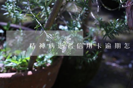 精神病患者信用卡逾期怎么办 精神病患者信用卡逾期怎么办