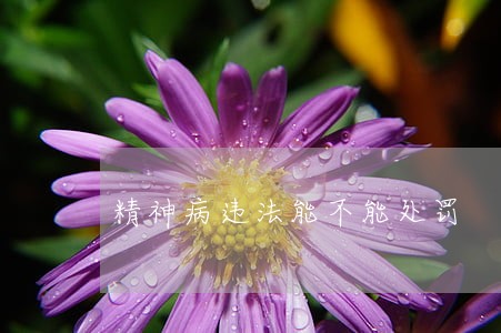 精神病违法能不能处罚