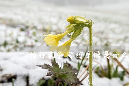 精神病鉴定的手段是什么 精神病鉴定的手段是什么