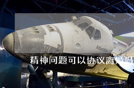 精神问题可以协议离婚吗 精神问题可以协议离婚吗