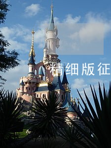 精细版征信有逾期欠款怎么看