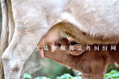 精美法律服务法务纠纷网站模板 精美法律服务法务纠纷网站模板