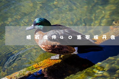 精英律师40集罗槟开会的台词