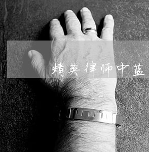 精英律师中蓝兰是孙超越的人吗 精英律师中蓝兰是孙超越的人吗