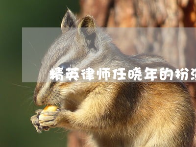 精英律师任晓年的扮演者是谁