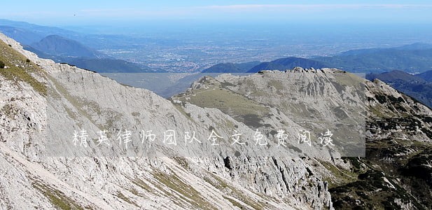 精英律师团队全文免费阅读 精英律师团队全文免费阅读