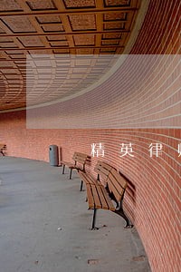 精英律师麦夫剧场 精英律师麦夫剧场