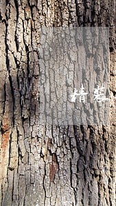 精装修款逾期费用减免申请 精装修款逾期费用减免申请