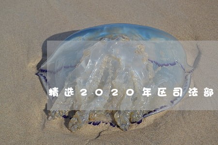 精选2020年区司法部工作计划 精选2020年区司法部工作计划