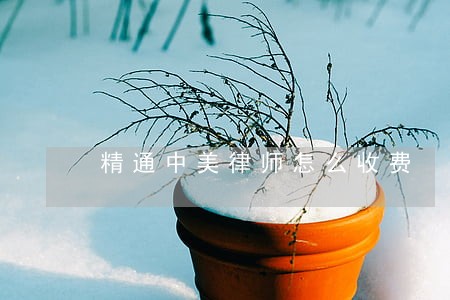 精通中美律师怎么收费 精通中美律师怎么收费