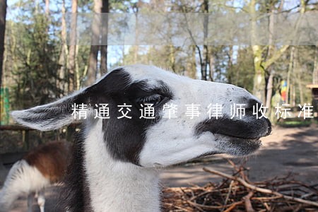 精通交通肇事律师收标准