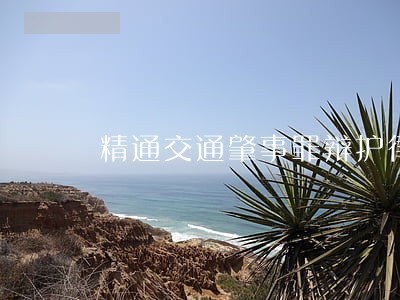 精通交通肇事罪辩护律师费怎么算 精通交通肇事罪辩护律师费怎么算