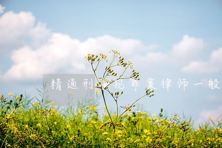 精通刑事犯罪案律师一般怎么收费