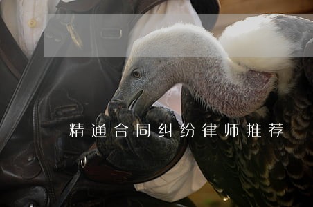 精通合同纠纷律师推荐 精通合同纠纷律师推荐