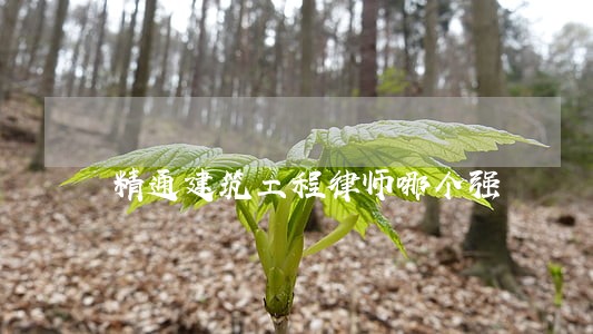 精通建筑工程律师哪个强 精通建筑工程律师哪个强