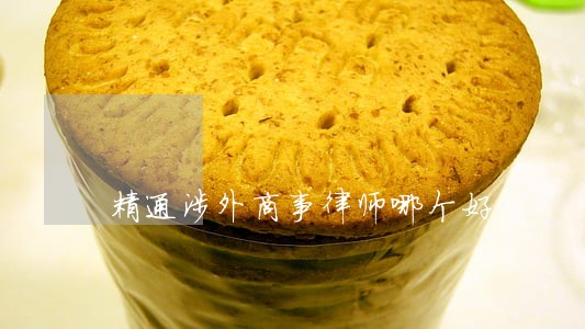 精通涉外商事律师哪个好 精通涉外商事律师哪个好