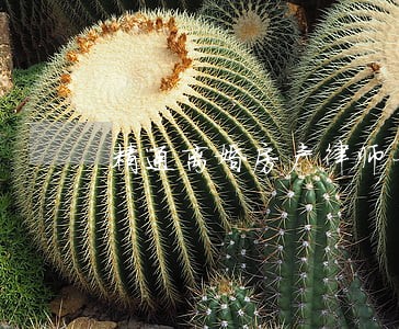 精通离婚房产律师一般怎么收费 精通离婚房产律师一般怎么收费