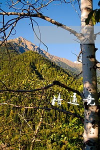 精通竞业限制律师推荐 精通竞业限制律师推荐