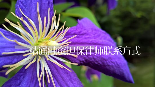 精通融资担保律师联系方式 精通融资担保律师联系方式