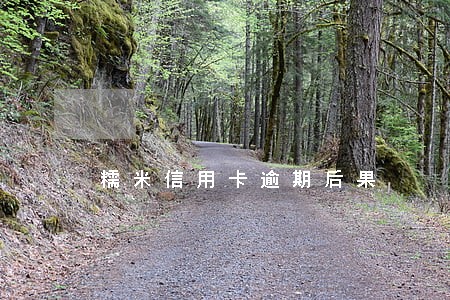 糯米信用卡逾期后果