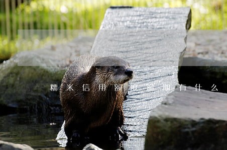 糯米信用额度逾期有什么后果 糯米信用额度逾期有什么后果