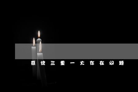 系统三重一大存在问题 系统三重一大存在问题