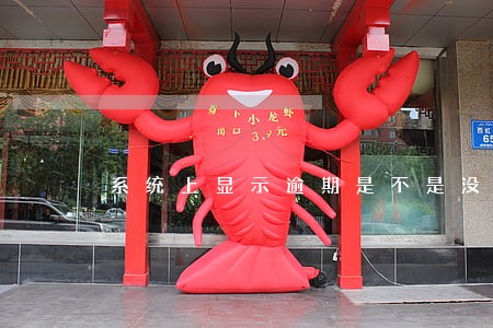 系统上显示逾期是不是没有宽限期 系统上显示逾期是不是没有宽限期