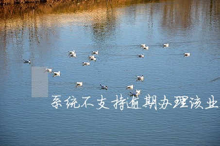 系统不支持逾期办理该业务 系统不支持逾期办理该业务