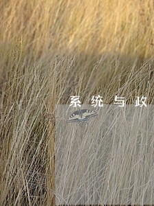 系统与政法系统 系统与政法系统