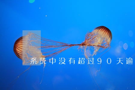 系统中没有超过90天逾期记录 系统中没有超过90天逾期记录