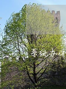 系统办件逾期审结情况说明 系统办件逾期审结情况说明