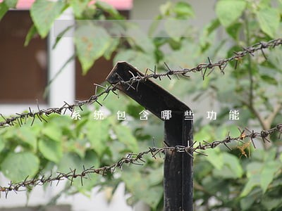 系统包含哪些功能 系统包含哪些功能