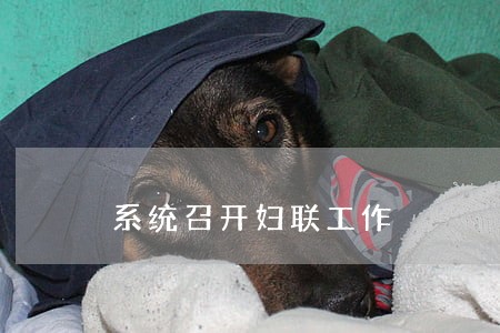 系统召开妇联工作 系统召开妇联工作