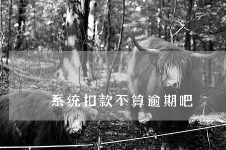 系统扣款不算逾期吧 系统扣款不算逾期吧