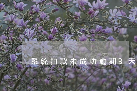 系统扣款未成功逾期3天还款 系统扣款未成功逾期3天还款