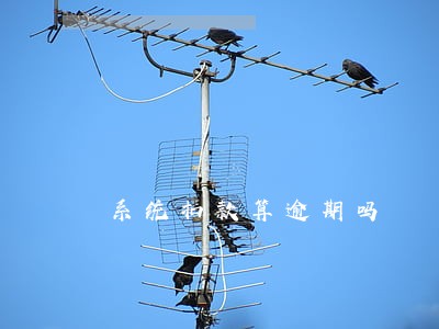 系统扣款算逾期吗 系统扣款算逾期吗