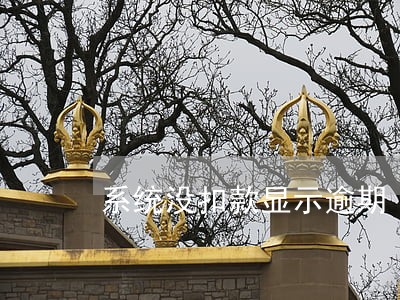 系统没扣款显示逾期 系统没扣款显示逾期