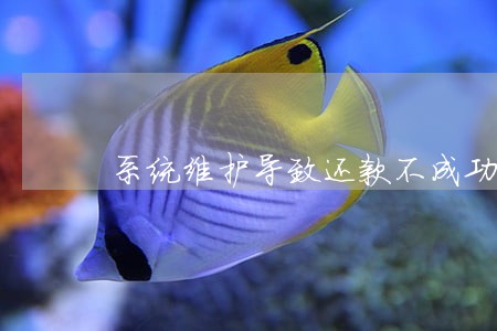 系统维护导致还款不成功会逾期吗 系统维护导致还款不成功会逾期吗