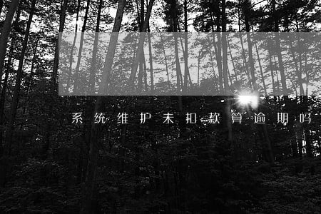 系统维护未扣款算逾期吗 系统维护未扣款算逾期吗