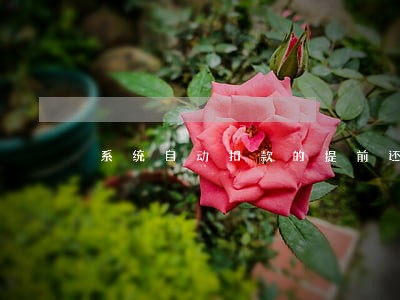 系统自动扣款的提前还款算逾期吗 系统自动扣款的提前还款算逾期吗