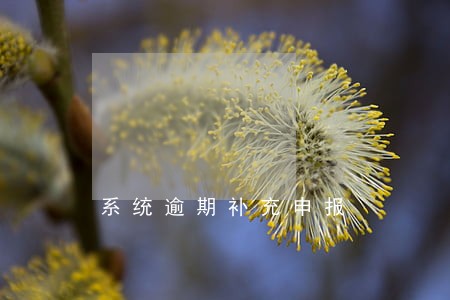 系统逾期补充申报 系统逾期补充申报