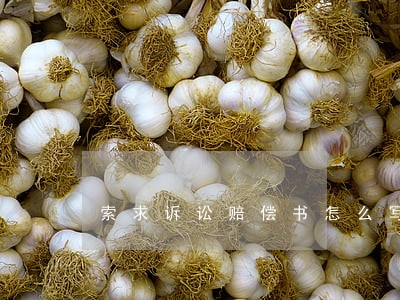 索求诉讼赔偿书怎么写 索求诉讼赔偿书怎么写