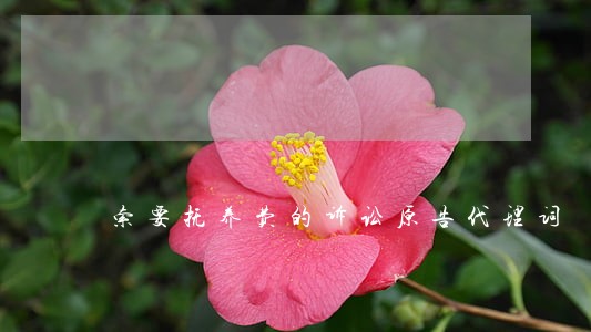 索要抚养费的诉讼原告代理词 索要抚养费的诉讼原告代理词